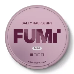 Fumi Salty Raspberry Mini Regular