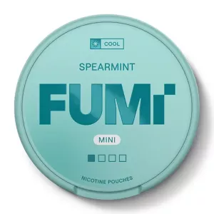 Fumi Spearmint Mini Regular