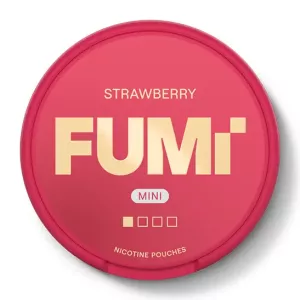 Fumi Strawberry Mini Regular