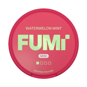 Fumi Watermelon Mint Mini Regular