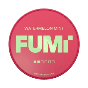 Fumi Watermelon Mint Regular