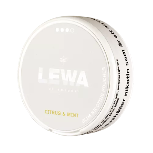Lewa Citrus & Mint