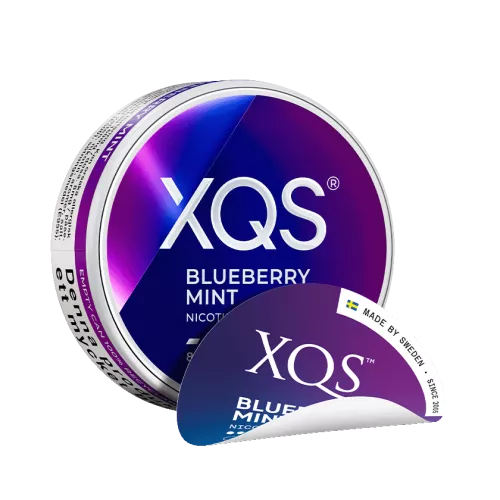 XQS Blueberry Mint Strong