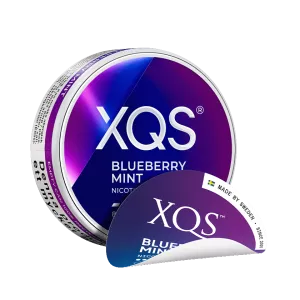 XQS Blueberry Mint Strong