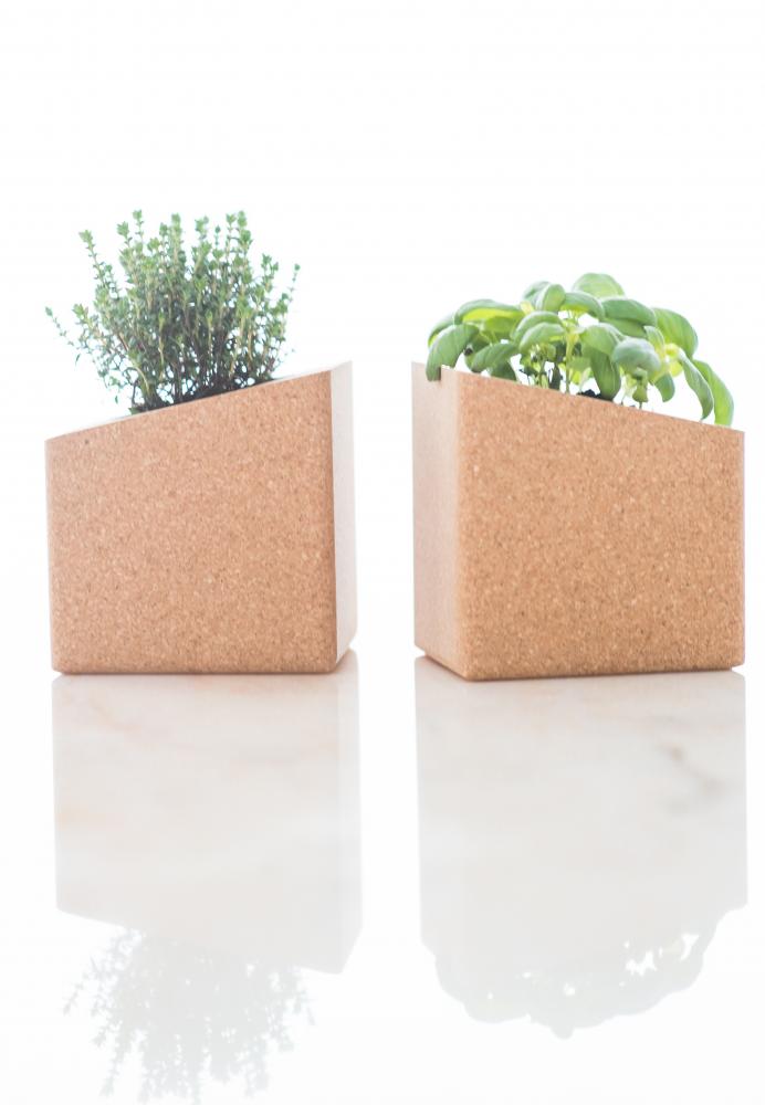 Life in a Block Basilika och Timjan