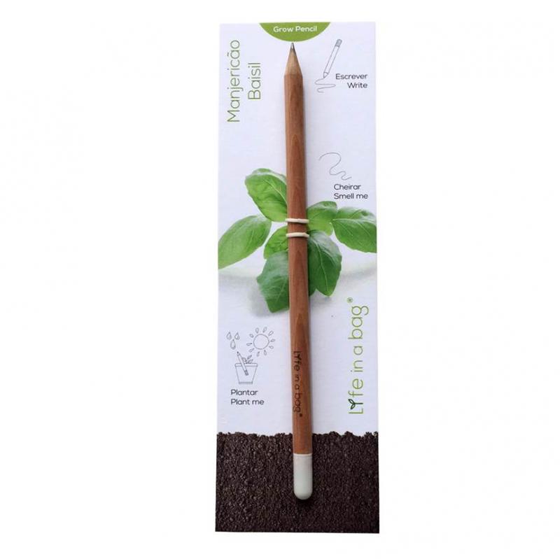 Grow Pen Basilika