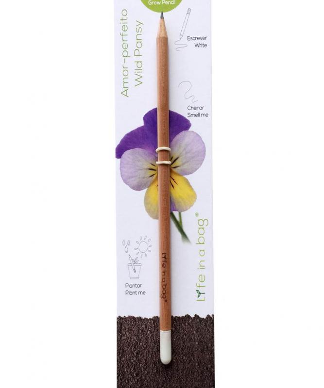 Grow Pen pense blomma