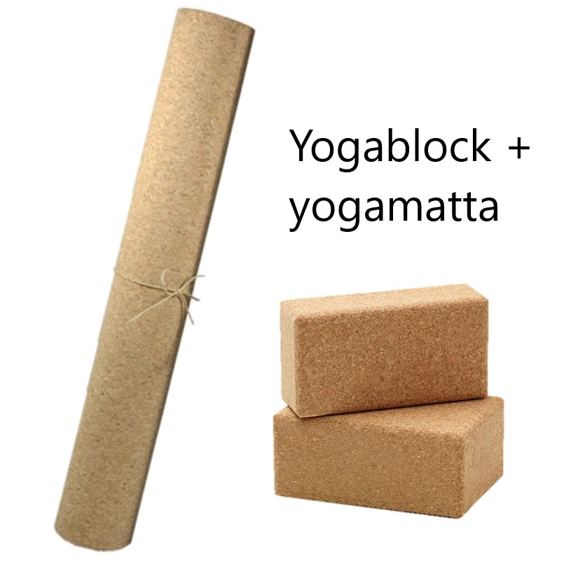 Yogablock 2-pack + Yogamatta