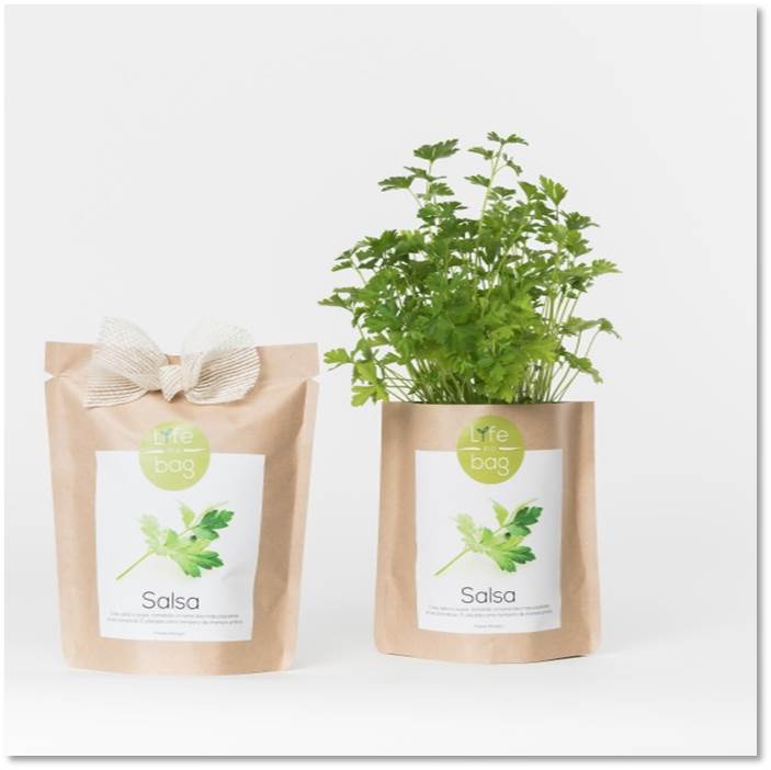 Life in a BAG persilja