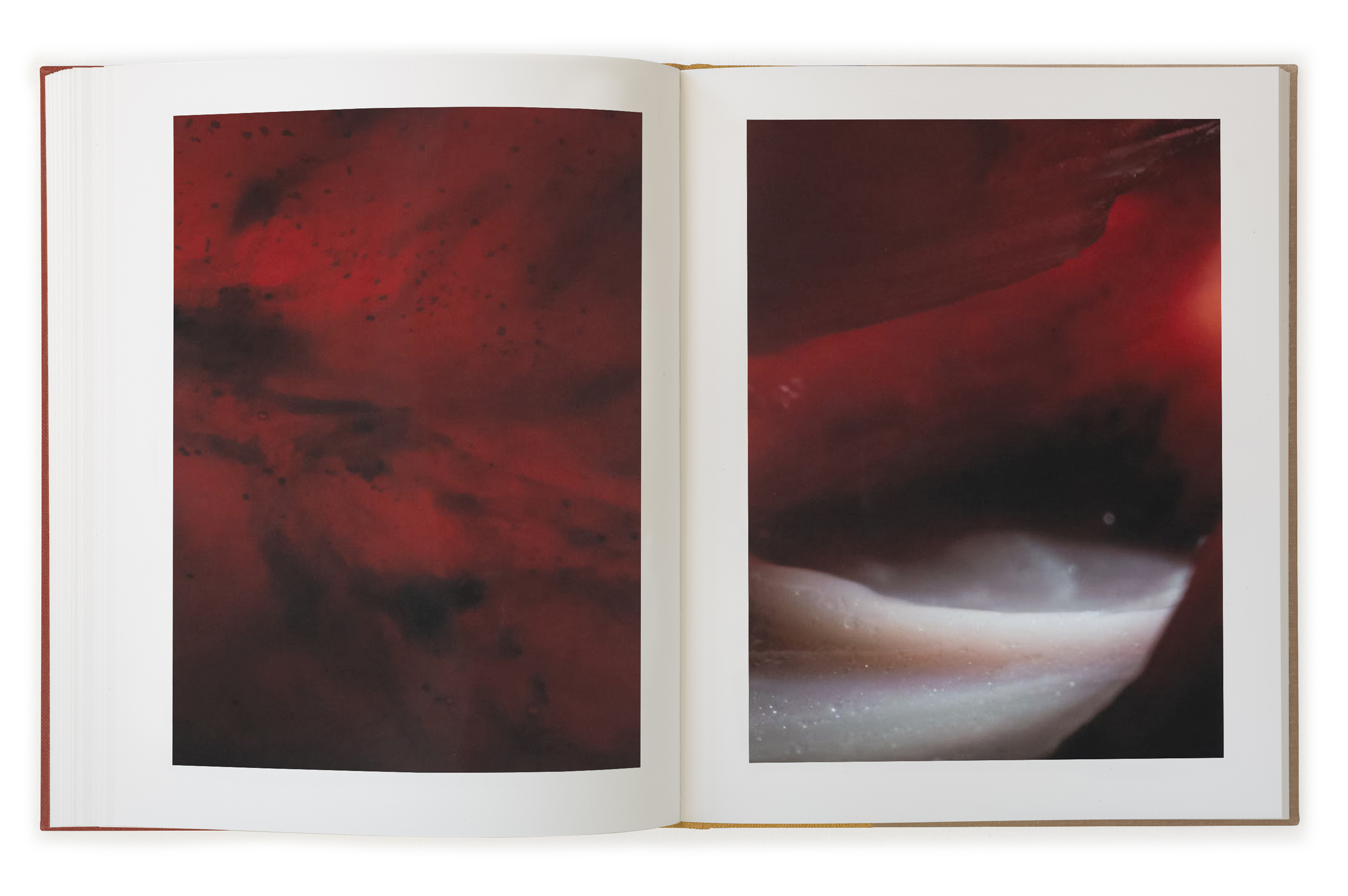 Stephen Gill, Please Notify The Sun | Collector Daily