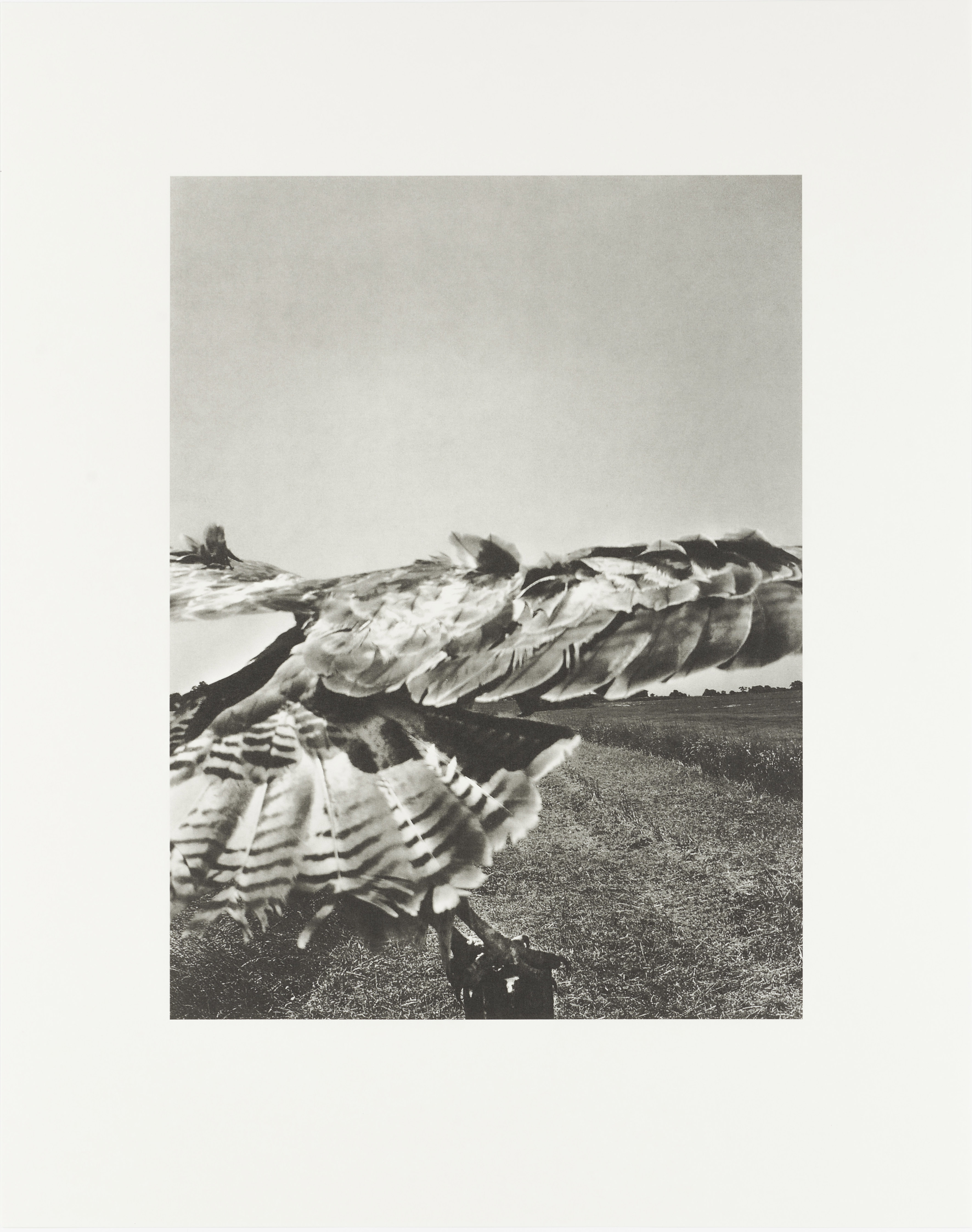 三部正博　Collotype Photography 2310060858.jpg