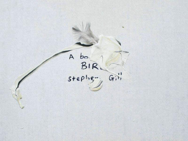 A Book of Birds - Print Edition