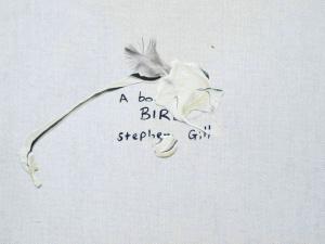 A Book of Birds - Print Edition