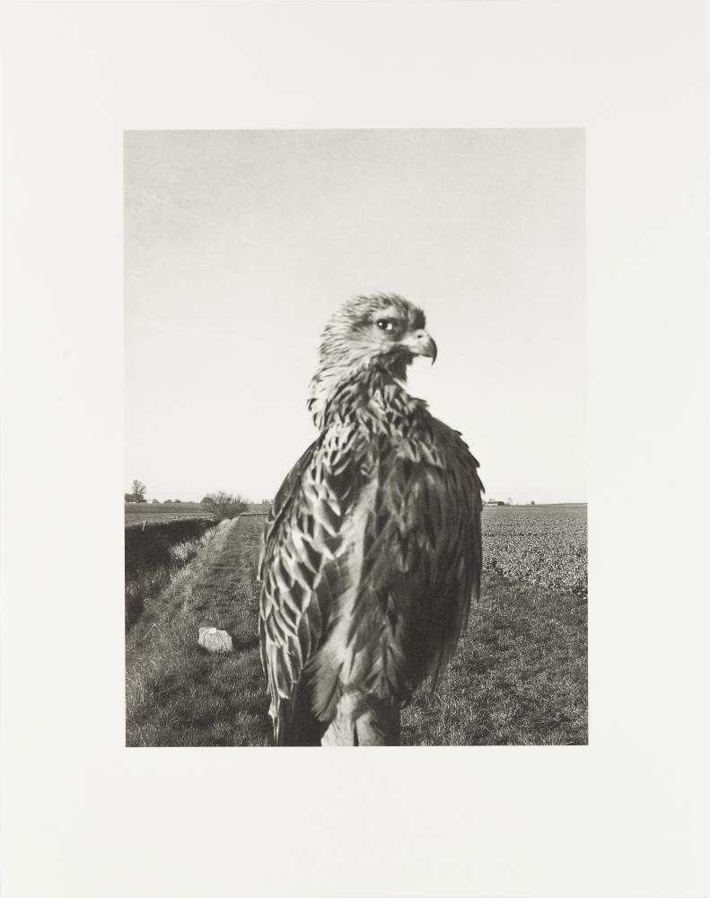 The Pillar - Collotype print 1