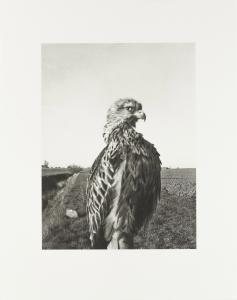 The Pillar - Collotype print 1