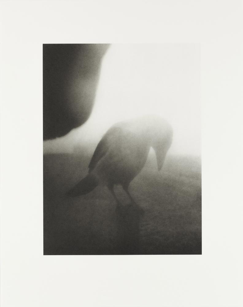 The Pillar - Collotype Print 2