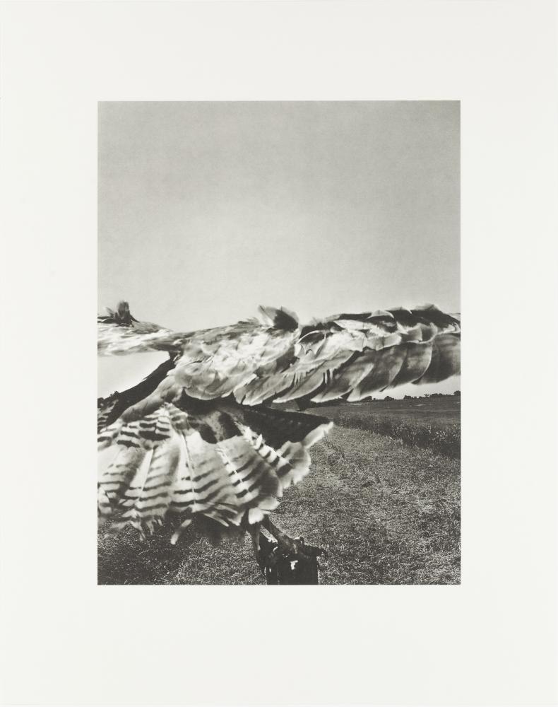 The Pillar - Collotype Print 3