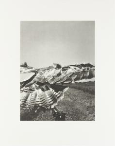 The Pillar - Collotype Print 3