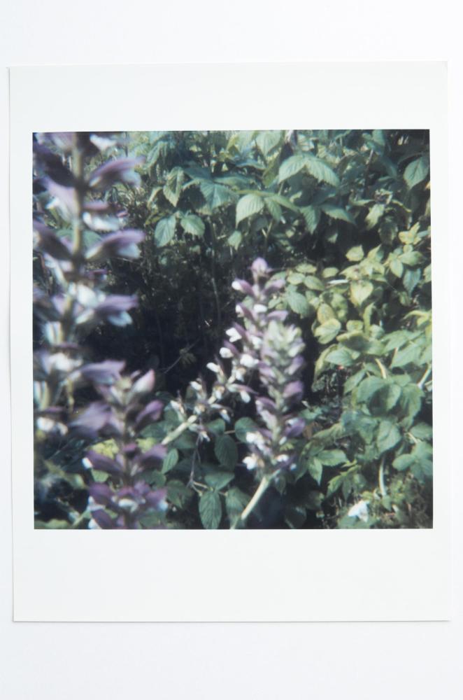 Archaeology in Reverse Print / 11