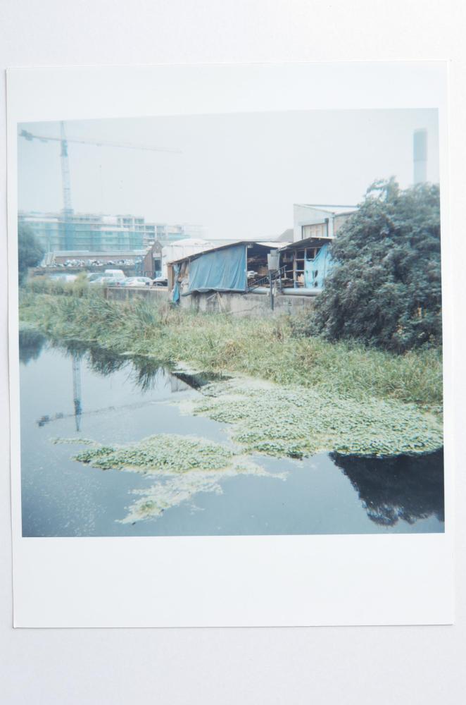 Archaeology in Reverse Print / 14