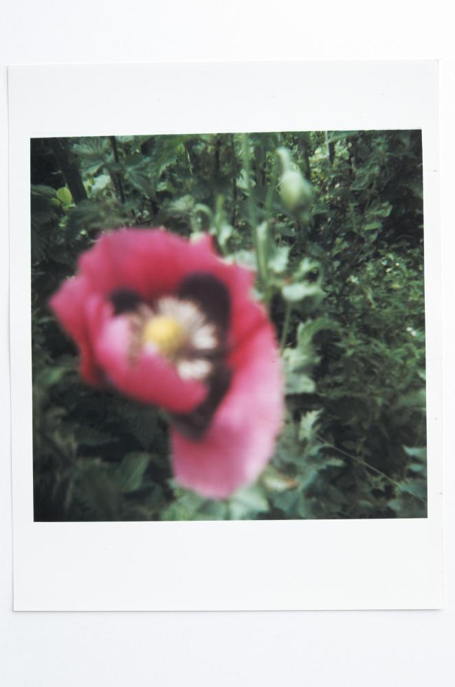 Archaeology in Reverse Print / 15