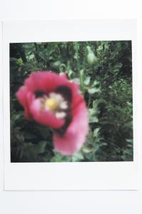 Archaeology in Reverse Print / 15