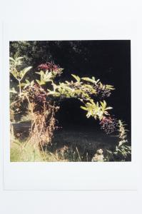 Hackney Wick Print / 20