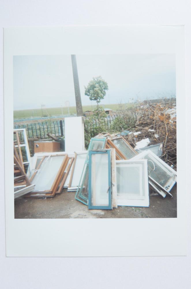 Archaeology in Reverse Print / 22