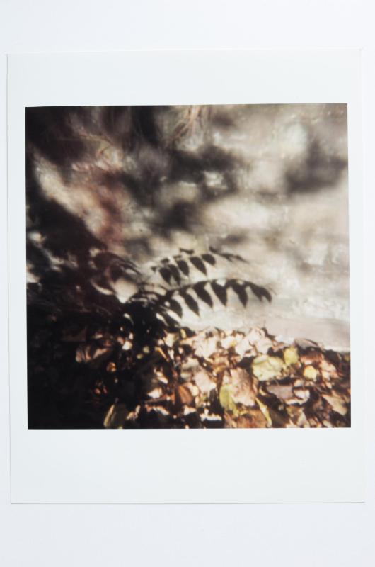 Archaeology in Reverse Print / 23