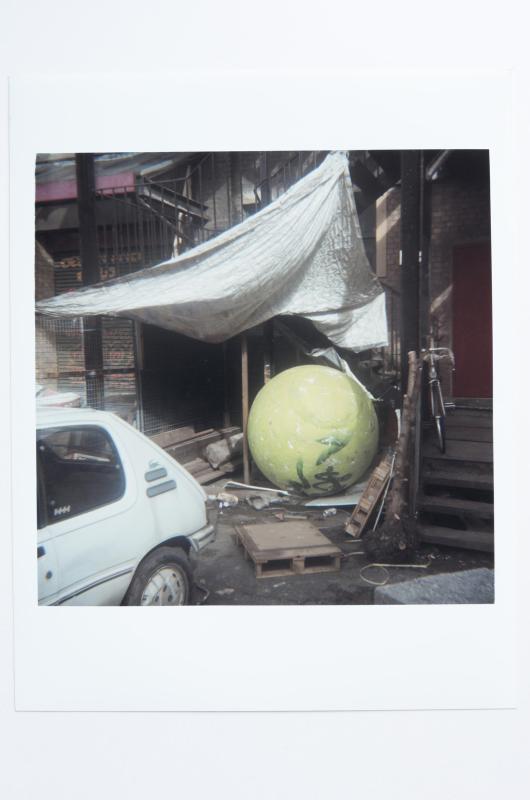 Archaeology in Reverse Print / 26