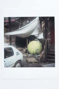 Archaeology in Reverse Print / 26