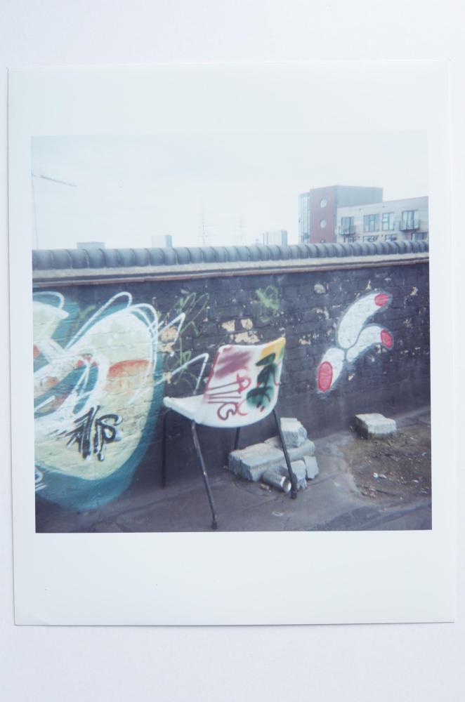 Archaeology in Reverse Print / 27