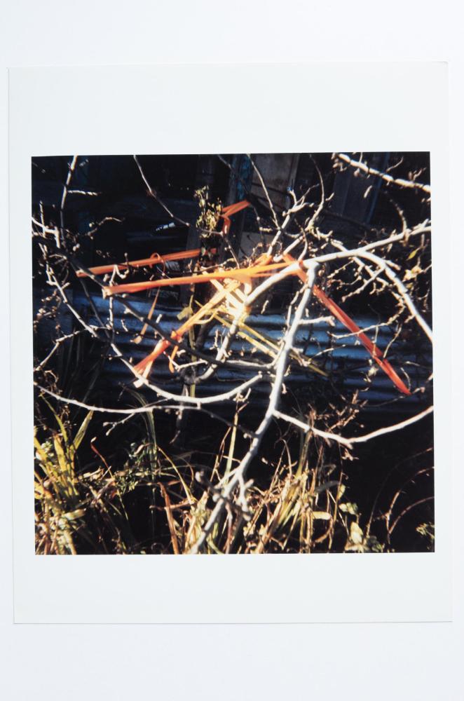 Archaeology in Reverse Print / 28