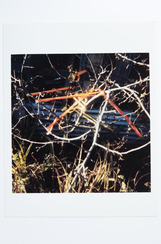 Archaeology in Reverse Print / 28