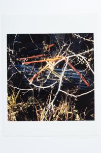 Archaeology in Reverse Print / 28