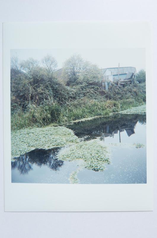 Archaeology in Reverse Print / 29
