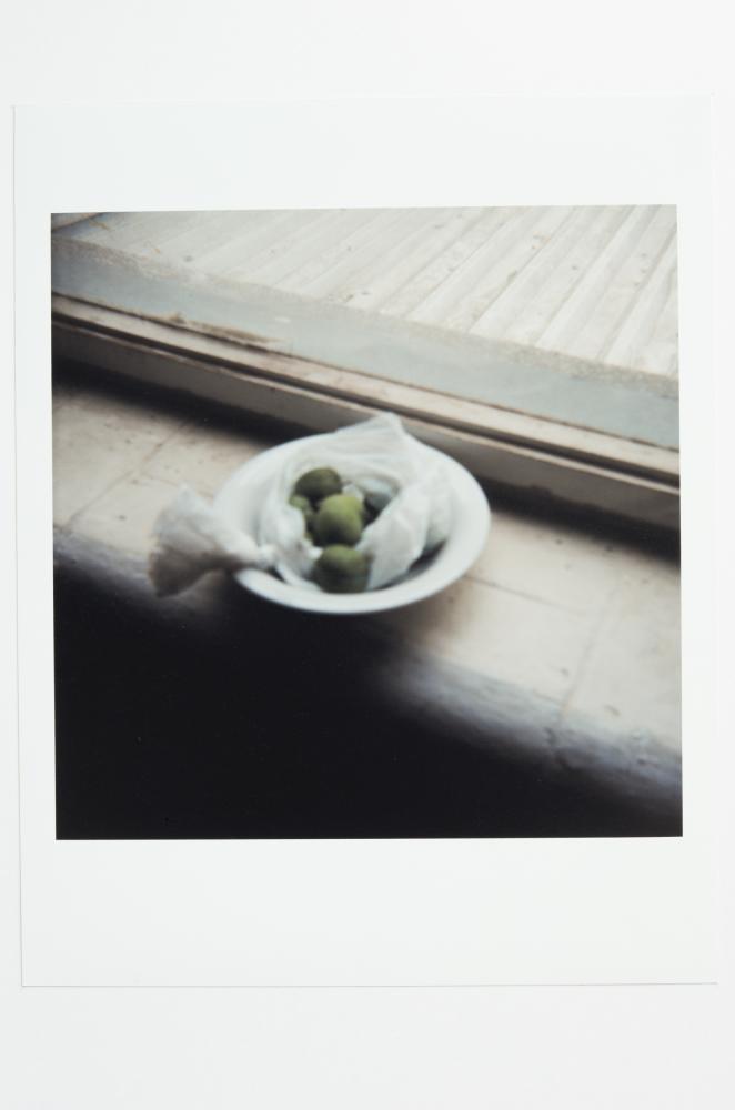 Archaeology in Reverse Print / 02