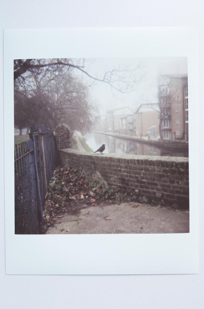 Archaeology in Reverse Print / 31