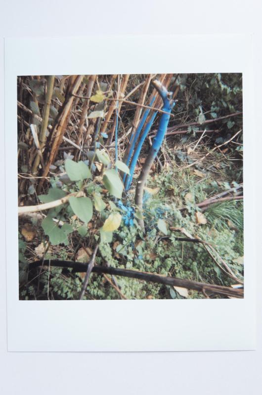Archaeology in Reverse Print / 37