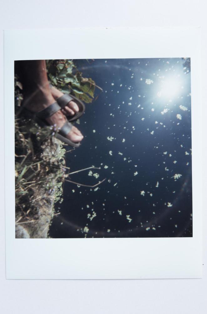 Archaeology in Reverse Print / 38