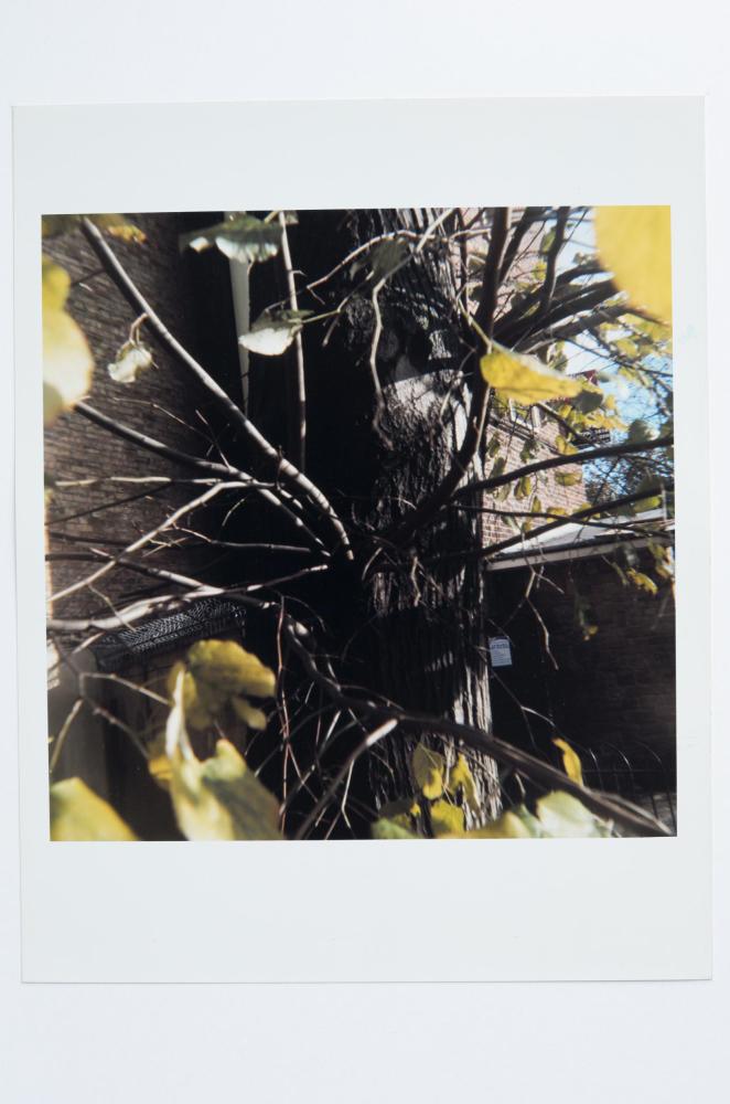 Archaeology in Reverse Print / 03