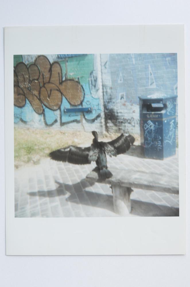 Archaeology in Reverse Print / 42