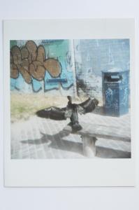 Archaeology in Reverse Print / 42