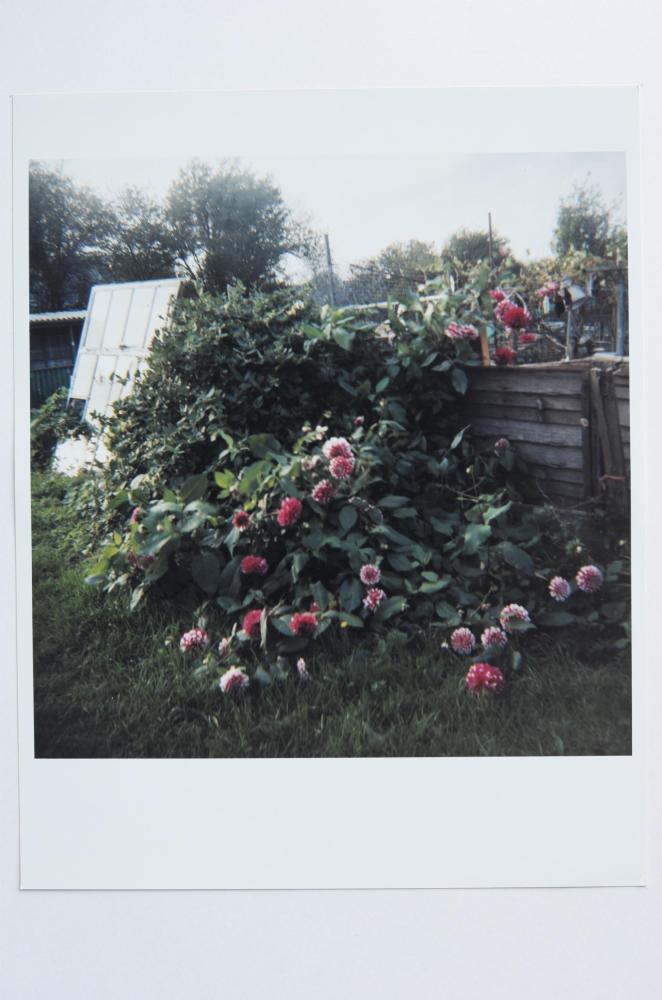 Archaeology in Reverse Print /04