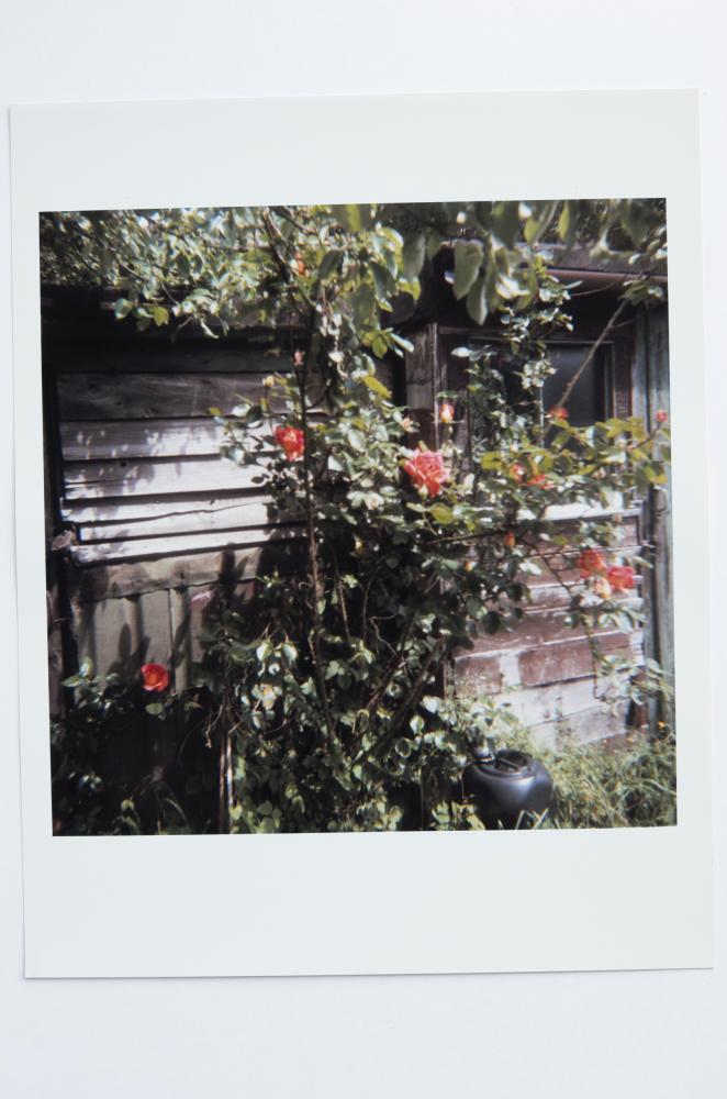 Archaeology in Reverse Print / 05