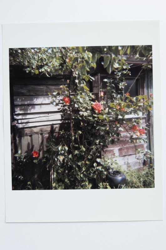 Archaeology in Reverse Print / 05