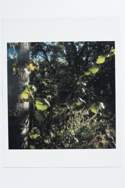 Archaeology in Reverse Print / 07