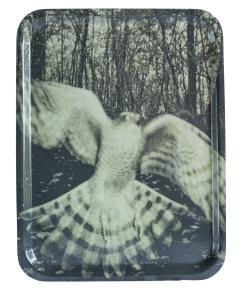 Night Procession Tray - Kestrel