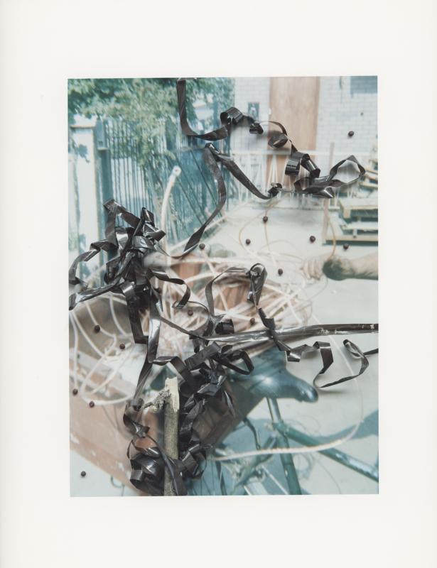 Hackney Flowers Print : Ref HFWP10