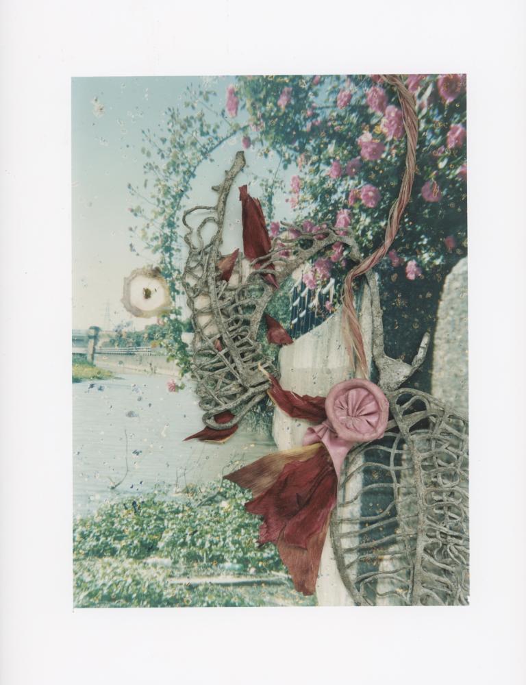 Hackney Flowers Print : Ref HFWP04